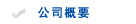 公司概要
