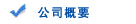 公司概要