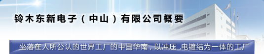 铃木东新电子（中山）有限公司概要