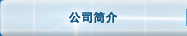 公司简介