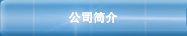 公司简介