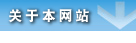 关于本网站