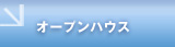 I[vnEX
