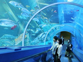 横浜八景島シーパラダイス